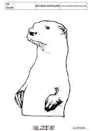 Su-Samuru boyama sayfaları